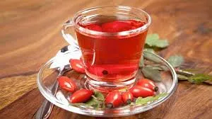 KUŞBURNU